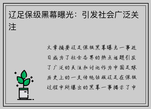 辽足保级黑幕曝光：引发社会广泛关注