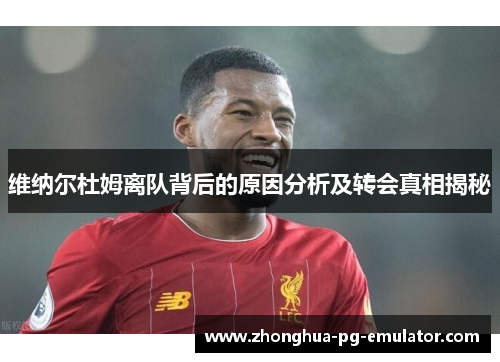 维纳尔杜姆离队背后的原因分析及转会真相揭秘