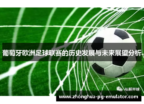 葡萄牙欧洲足球联赛的历史发展与未来展望分析 葡萄牙欧洲足球联赛的历史发展与未来展望分析